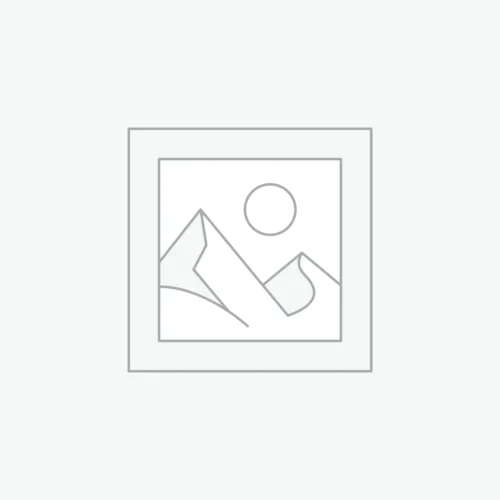 woocommerce-placeholder Autoradio Android + Consola para